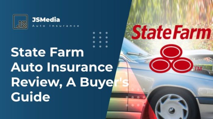 State Farm automotive insurance